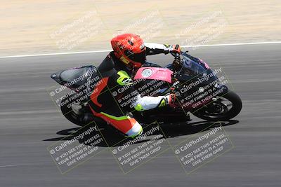 media/May-14-2023-SoCal Trackdays (Sun) [[024eb53b40]]/Turn 3 Inside (12pm)/